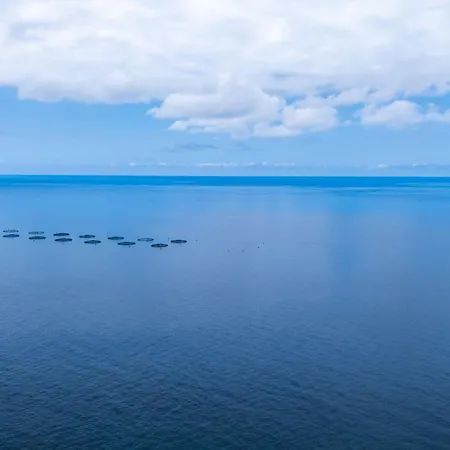 Faja Stone House By Lovelystay Nyaraló Arco da Calheta