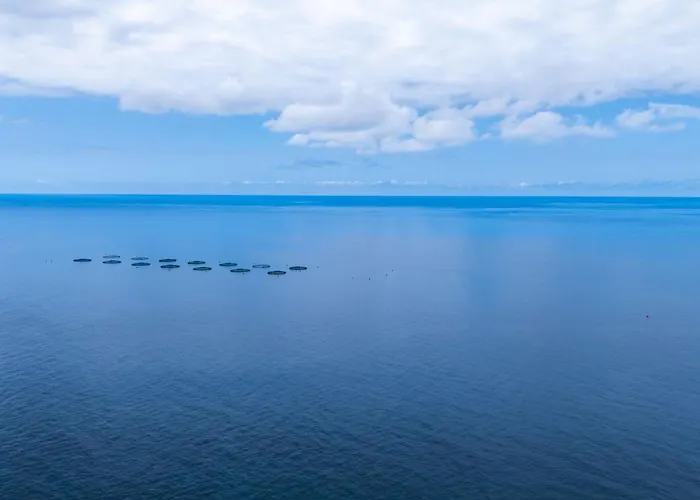 Faja Stone House By Lovelystay بيت للعطل أركو دا كالهيتا